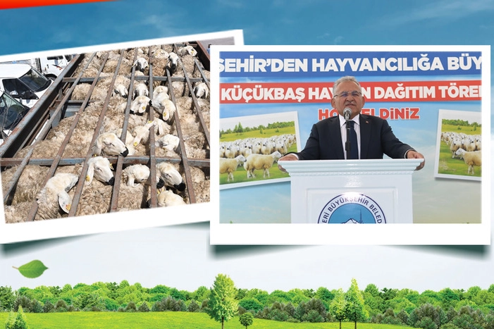 Kayseri'de Koyun Projesiyle 150 Bin Başlık Artış: Döngüsel Model Başarısı