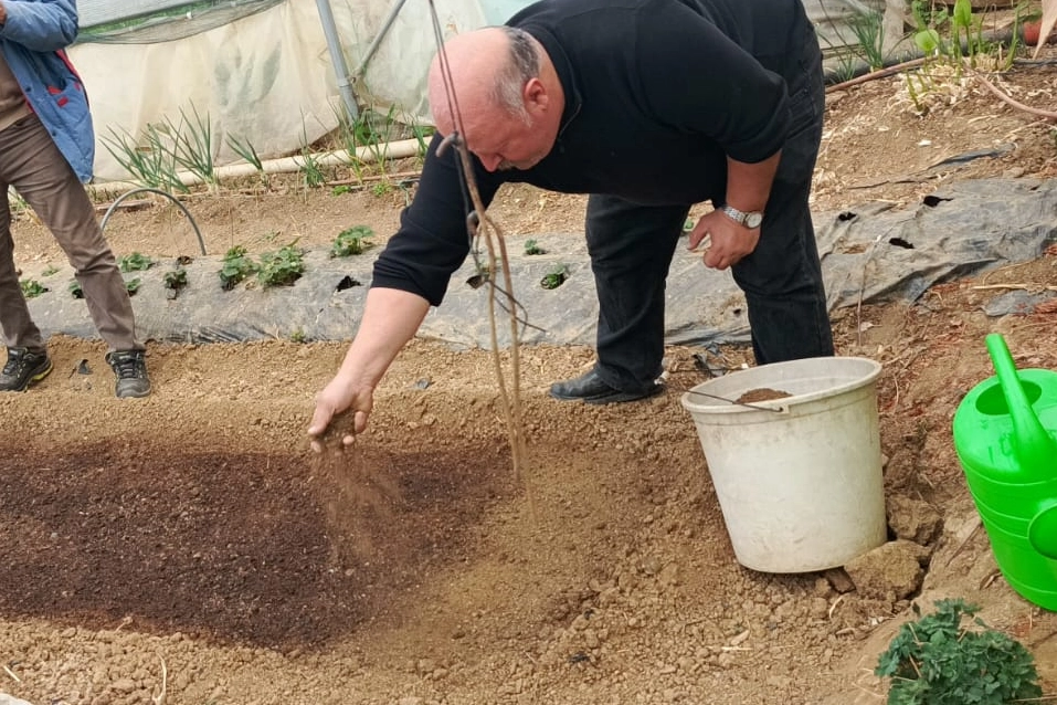 Pazaryeri'nde Tütün Ekimi 5 Kat Arttı: 2026'da 50 Dekar Alan