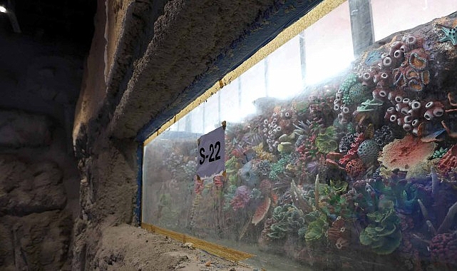 Kocaeli’de 30 Akvaryumla Türkiye’nin İlk Tatlı Su Tüneli Açılıyor