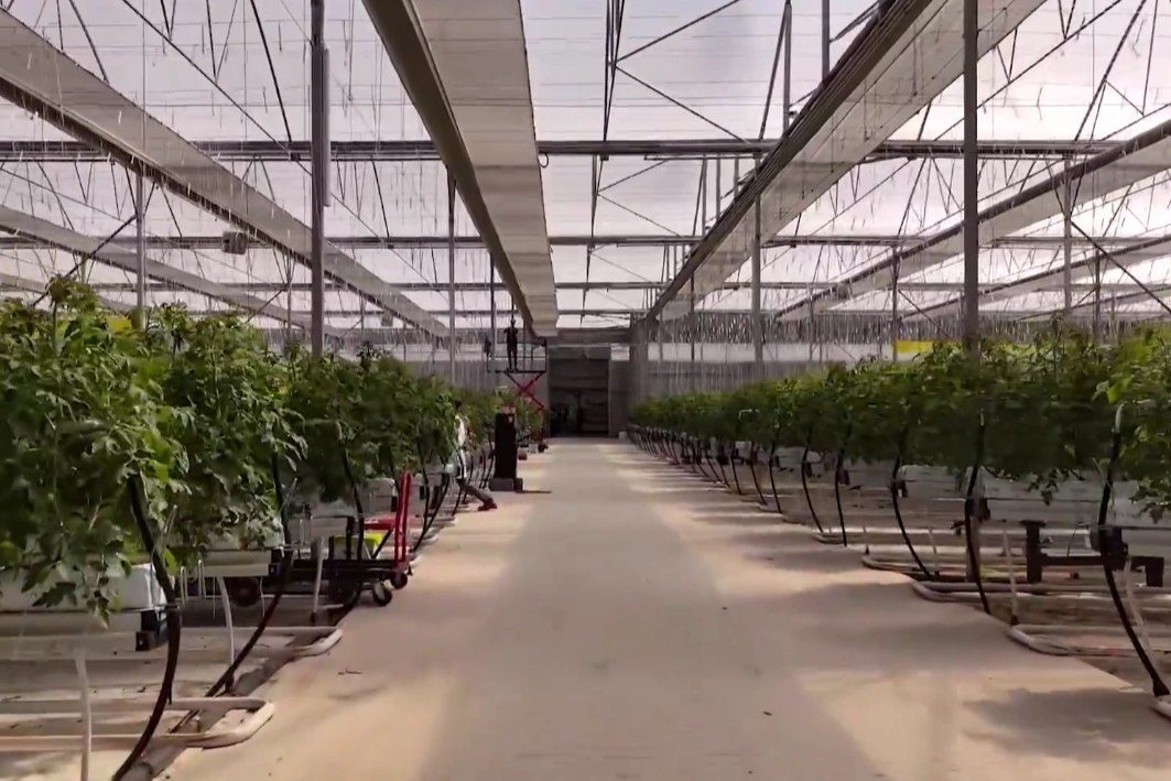 Çaycuma'da 1.5 Milyar TL'lik Sera Projesi Üretime Geçti, 750 Milyon TL Katkı Bekleniyor