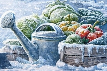 Meteoroloji'den Kritik Don Uyarısı: 11 Nisan'a Kadar 7 Bölge Risk Altında