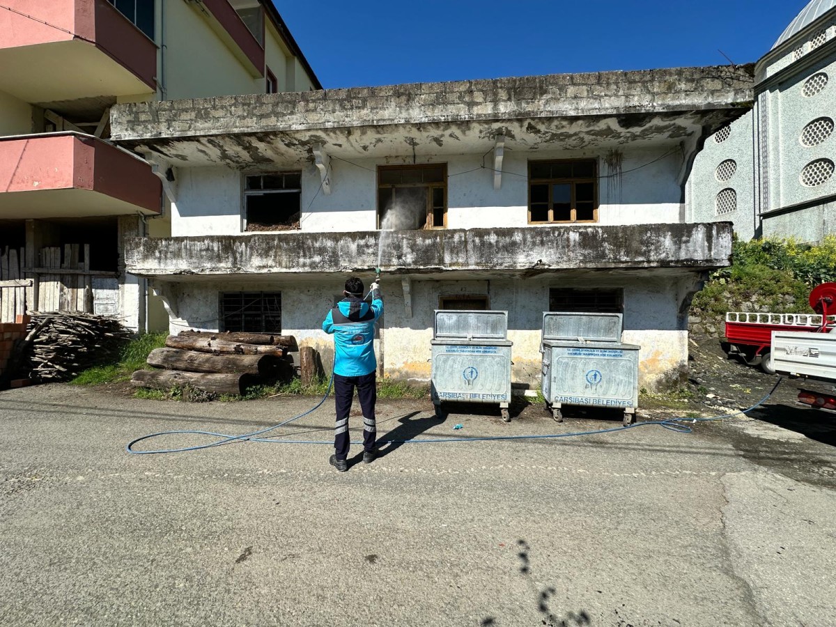 Trabzon'da Kahverengi Kokarca İstilasına Karşı 20 Personel ve 10 Araçla Büyük Mücadele