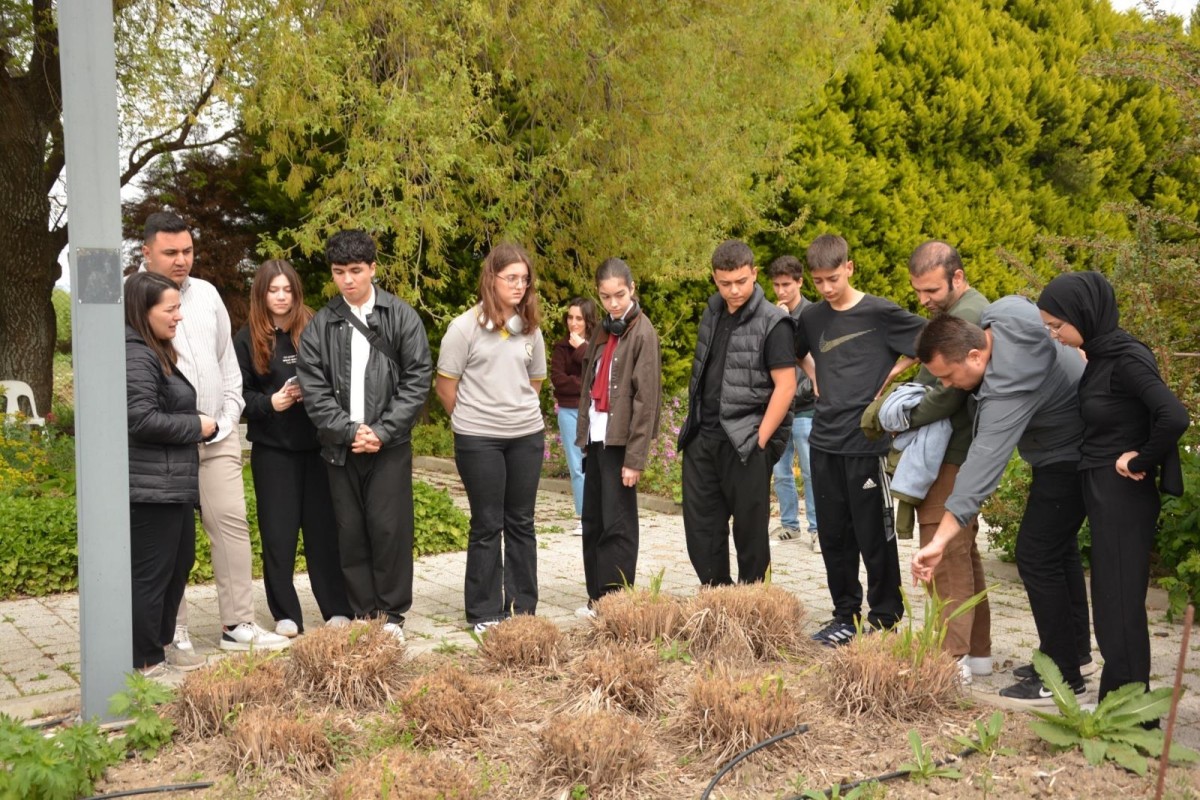 BAÇEM'den Gençlere Doğa Eğitimi: Ayvalık Öğrencileri Tarımı Yerinde Öğrendi