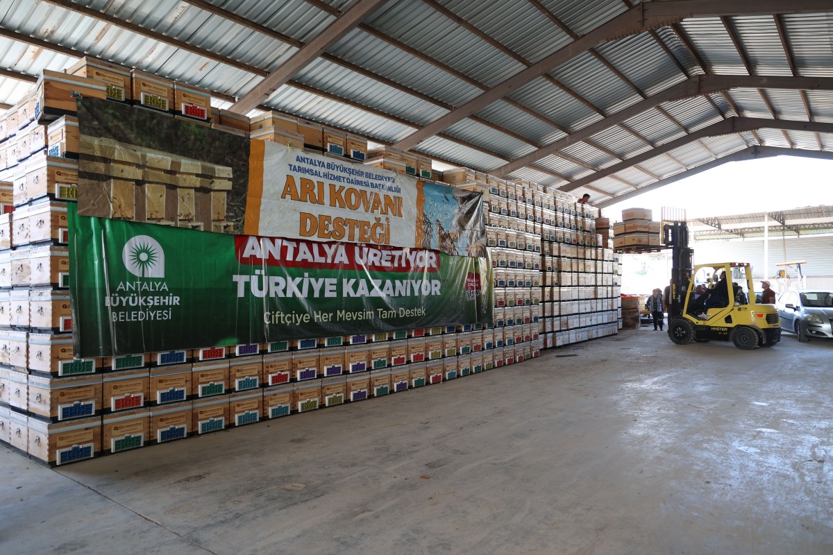 Antalya'da Arıcılık Patlaması: Büyükşehir 1.200 Kovan Dağıttı