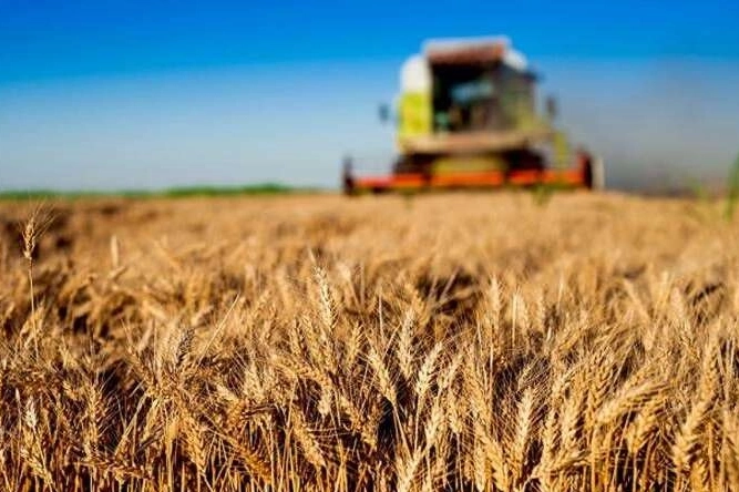 Tarımda Dev Destek: Kırsalda Yatırımlara 'e Varan Hibe