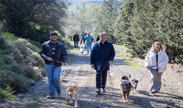 İzmir'de 2 Yılda 3.300 Sokak Hayvanı Yuva Buldu, 2.300'ü Hala Bekliyor