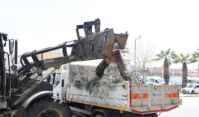 Aydın'da Yeşil Dönüşüm: Çerçioğlu'nun Öncülüğünde 2 Ana Bulvarda Peyzaj Çalışması Tamamlandı