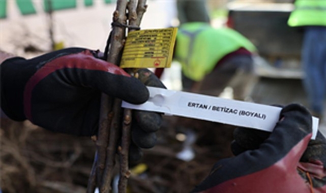 Beydağ'da Tarıma Çifte Destek: 1000 Dut Ağacı ve 1500 Kestane Fidanı