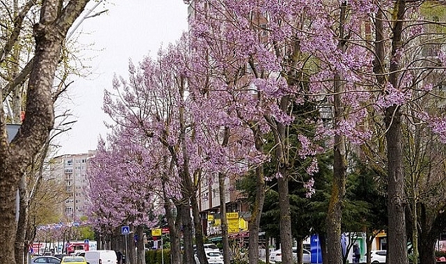 Beylikdüzü'nde Bahar Temizliği: Yeşil Alanlar Yaza Hazırlanıyor