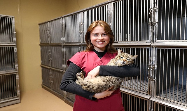 Buca'da 599 Sokak Hayvanı Yuva Buldu: 'Satın Alma, Sahiplen' Kampanyası Başarısı