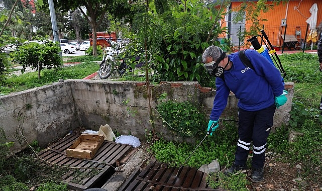 Antalya'da Sivrisinek ve Zararlılara Karşı Yoğun Mücadele: 5 Farklı Tür Hedef Alınıyor