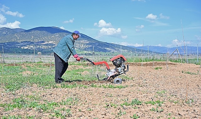 Antalya'da ipek böceği yetiştiriciliği Korkuteli ile yaygınlaşıyor: Dut fidanı dağıtıldı