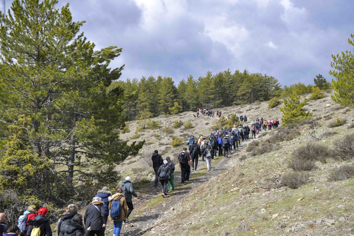 Ankara'da 200 Kişi Ücretsiz Doğa Yürüyüşünde Buluştu: 10 Km'lik Parkur