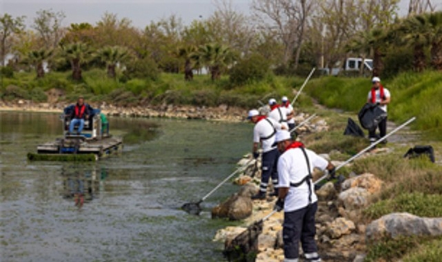 İzmir Körfezi'nde 20 Ton Yosun Temizlendi: Çakalburnu Lagünü'nden Yoğun Müdahale