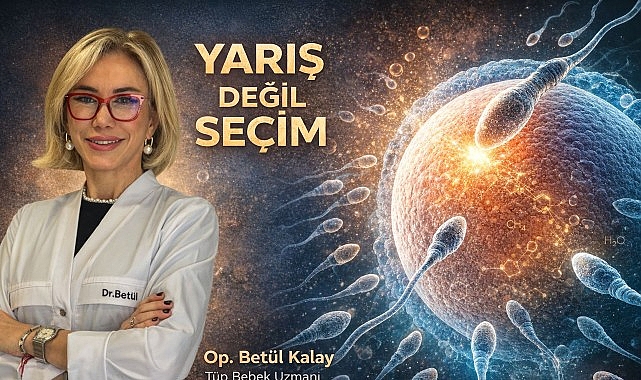 Yumurta Döllenmede Aktif Seçici: En Hızlı Değil, En Uyumlu Sperm Seçiliyor