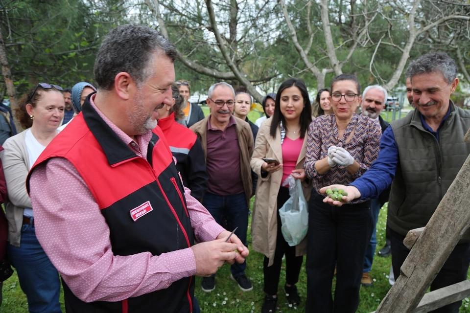 Bursa Siyahı İncirde Kalite İçin Sıkı Denetim: 30 Mahallede Eğitim