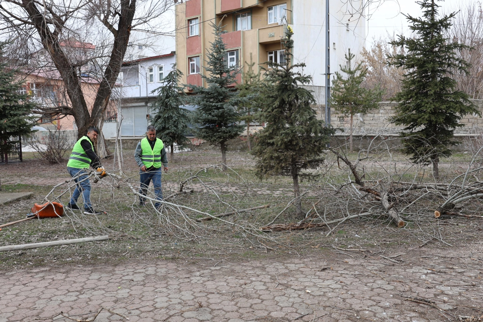 Ağrı'da Yeşil Alanlar Yenileniyor: 2 Önemli Proje Başladı