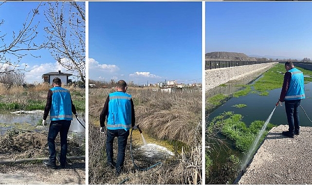 Kahramankazan'da Haşere İlaçlaması: 4 Kritik Bölgeye Yoğun Müdahale