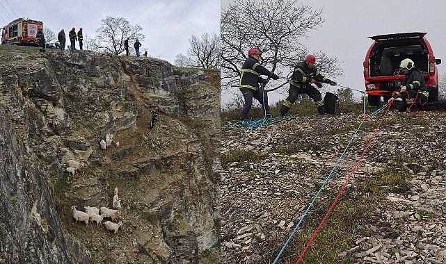 Kocaeli İtfaiyesi 15 Keçiyi Sarp Araziden Kurtardı