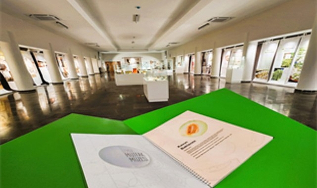 İzmir Mutfak Müzesi Açılıyor: 31 Aralık'a Kadar Ön Sergi Ziyarete Açık