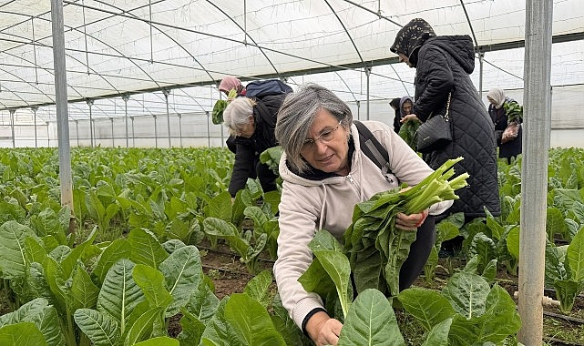 İzmit Saygınlar Kulübü 1 Yılda 2.223 Üyeye Ulaştı