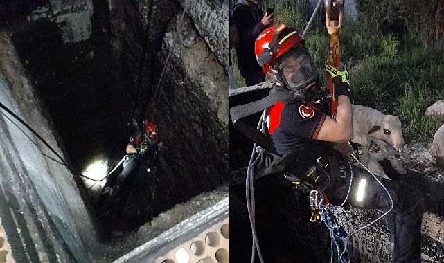 İzmir'de 20 Metrelik Kuyuya Düşen Kuzu İtfaiye Ekipleri Tarafından Kurtarıldı