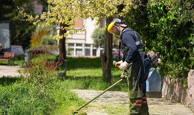 Maltepe'de yeşil alanlar yaz için elden geçiyor: Parklarda hummalı bakım seferberliği