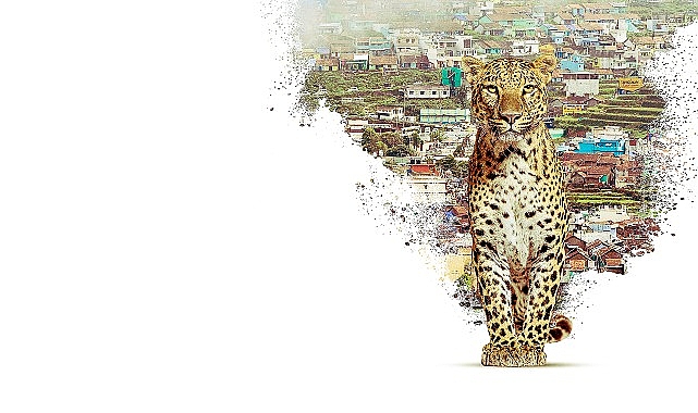 Nilgiri Dağları'nın Gizemli Dünyası 22 Nisan'da National Geographic WILD'da