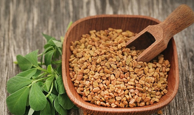 Demirhindi, Bamya ve Çemen Otu Mikroplastikleri Temizliyor: Doğal Çözüm Bilimsel Araştırmalarla Kanıtlandı