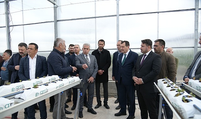 Soğucak Termal Serası'nda İlk Çilek Fideleri Toprakla Buluştu