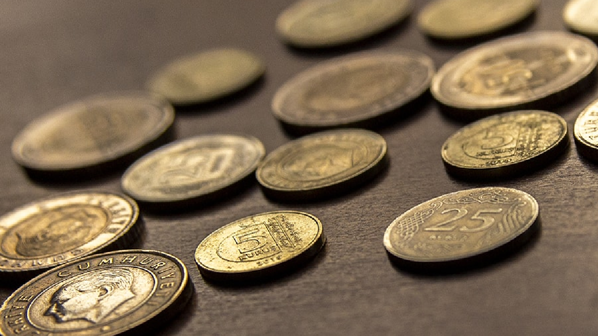 Hatalı Basım 1 TL 2000 TL'ye Satıldı: Paranız Hazine Olabilir