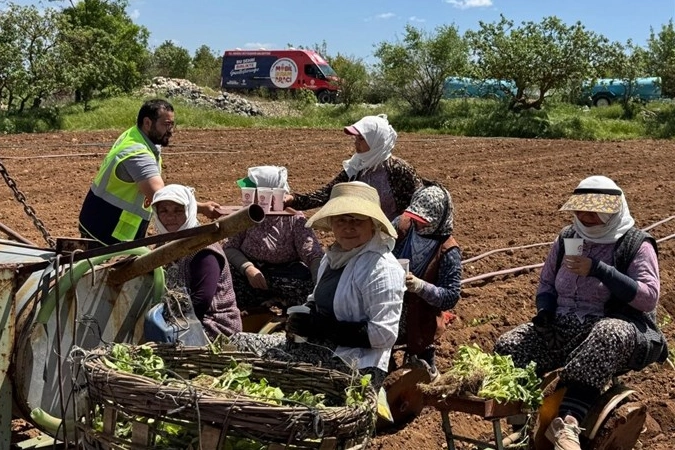 Denizli'de Mobil İkram Filosu Tarlalarda: Tarım İşçilerine Soğuk Su Sürprizi