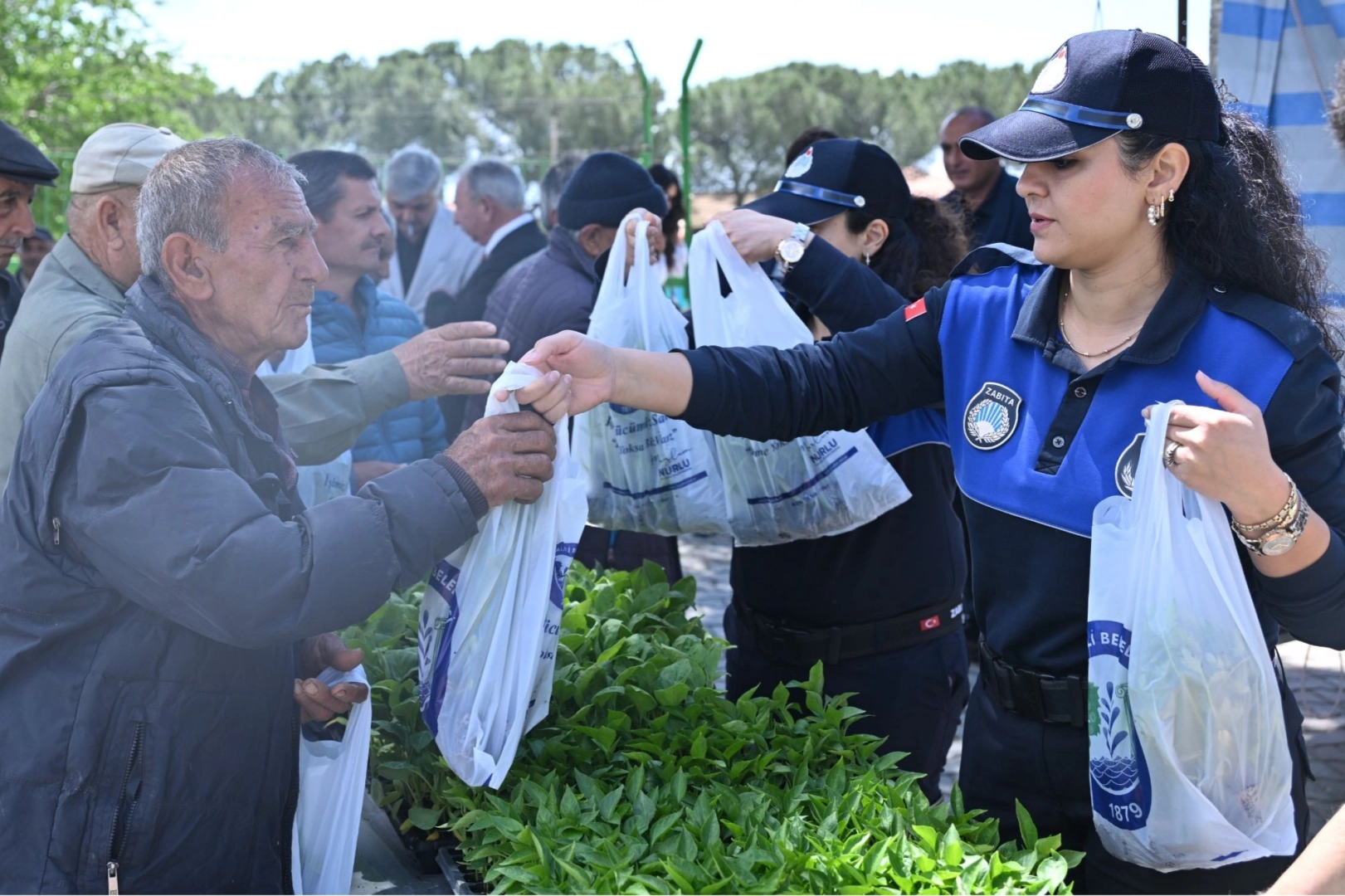Manisa'da 34 Bin Sebze Fidesi Üreticilere Dağıtıldı: Kadınlar ve Yerel Tohumlar Ön Planda