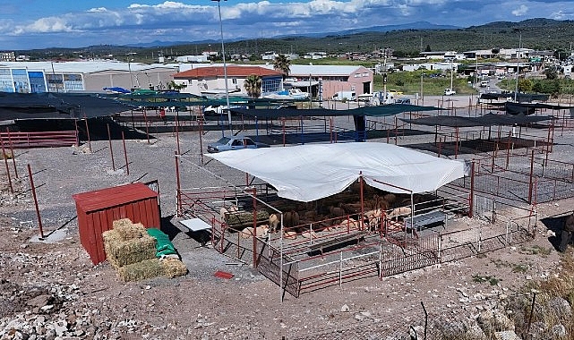 Ayvalık'ta 35 Bölümlü Modern Kurban Pazarı Hizmete Açıldı