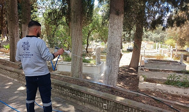 Kurban Bayramı Öncesi Aydın'da Mezarlıklarda Kapsamlı Temizlik Seferberliği
