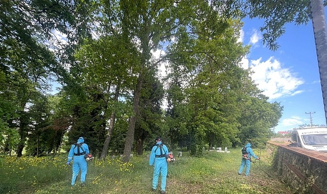 Kocaeli'de mezarlıklar bayrama hazırlanıyor: Ot biçme ve budama çalışmaları hızlandı
