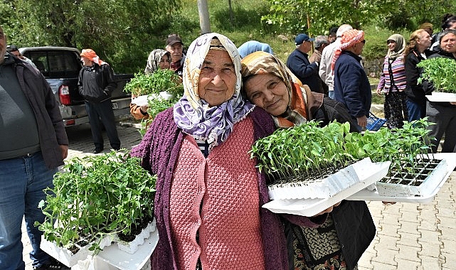 Bornova'da 150 Bin Sebze Fidesi Üreticiye Dağıtıldı: Maliyetlere Can Suyu