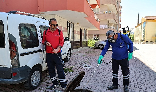 Antalya'da Vektörle Mücadele: 1600 Personel Sahada, Denizden de İlaçlama