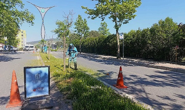 Kurban Bayramı Öncesi Kocaeli'de Temizlik Seferberliği: Ekipler Sahada