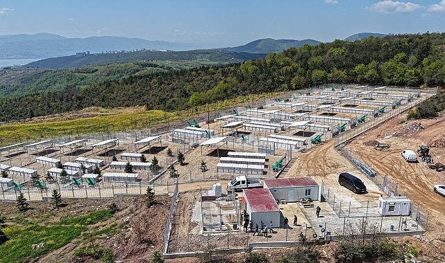Kocaeli'de 17 Bin Metrekarelik Barınak: Sahipsiz Köpekler İçin Yeni Umut
