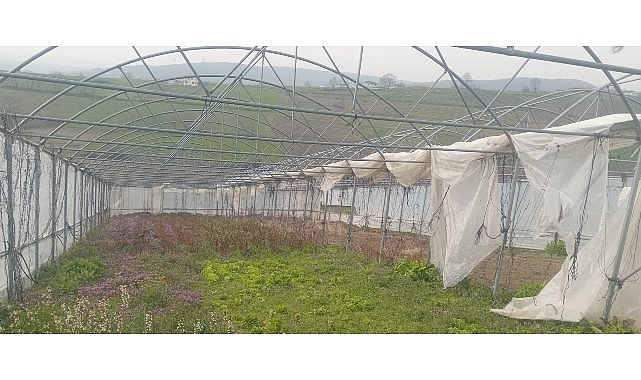 Kocaeli'de seraları zarar gören 244 çiftçiye yüzde 75 hibeli naylon desteği