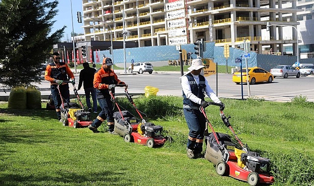 Çankaya Parklarında Yeşil Dönüşüm: Çim Biçme ve Bakım Seferberliği