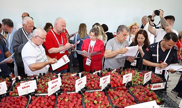 16. Emiralem Çilek Festivali'nde 1 Milyon Ziyaretçi Rekoru Kırıldı