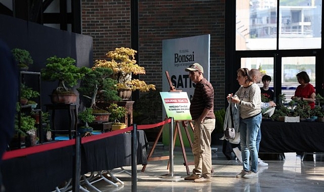 Sabır ve Doğanın Dansı: 6. Ulusal Bonsai Sergisi Kocaeli'nde Başladı