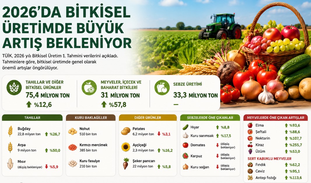TÜİK 2026 Tahmini: Tarımsal Üretimde Yüzde 57,8'e Varan Artış Bekleniyor