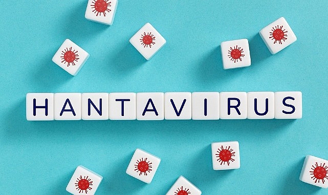 Hantavirüs Pandemi Riski Düşük: Uzmanlar İnsandan İnsana Bulaşmanın Sınırlı Olduğunu Vurguluyor