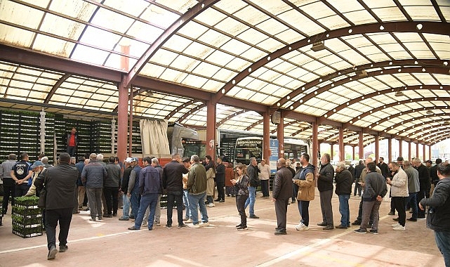 Kahramankazan'da 550 Çiftçiye 700 Bin Fide: Yerel Tarıma Can Suyu