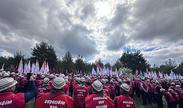 Kartepe'li İzciler Çanakkale'de 57. Alay Milli Bilinç Kampı'nda Tarihe Yürüdü