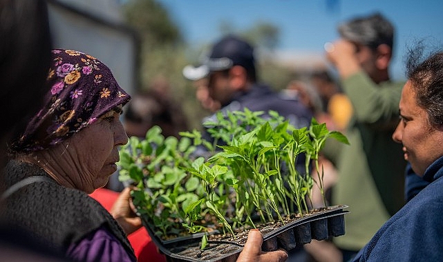 Milas Belediyesi 30 Bin Fideyi Ücretsiz Dağıttı: 300 Üreticiye Destek