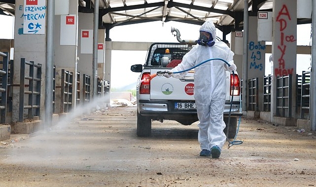Osmangazi'de Kurban Pazarları Hijyenik Hale Getirildi: 61 Personel ve 29 Araçla Dev Temizlik